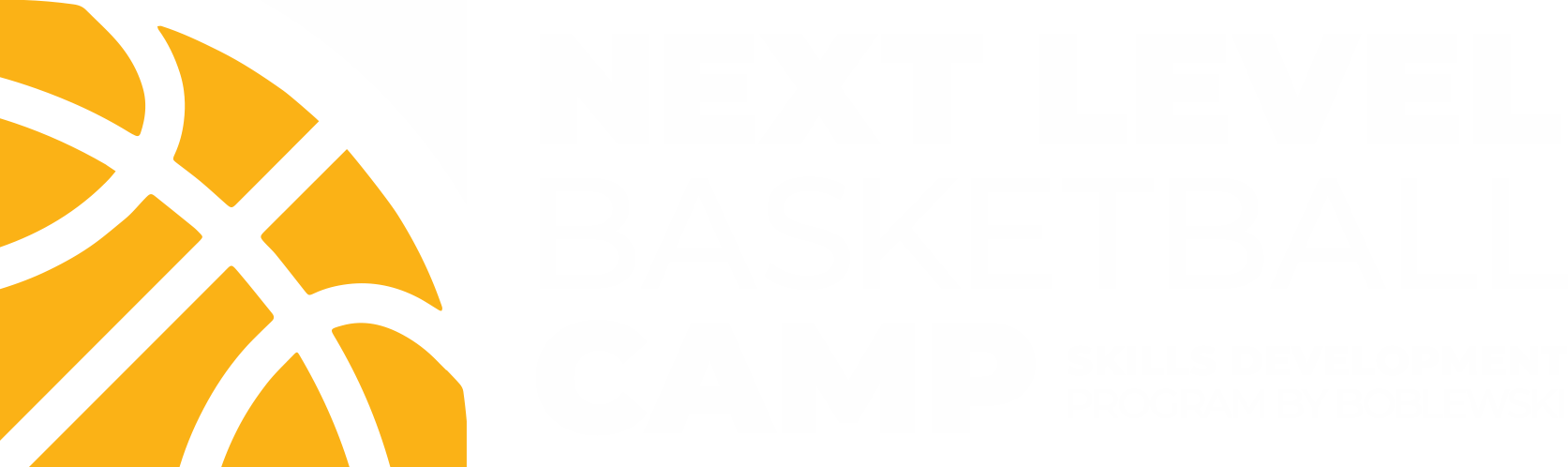 Next Level Basketball Camp